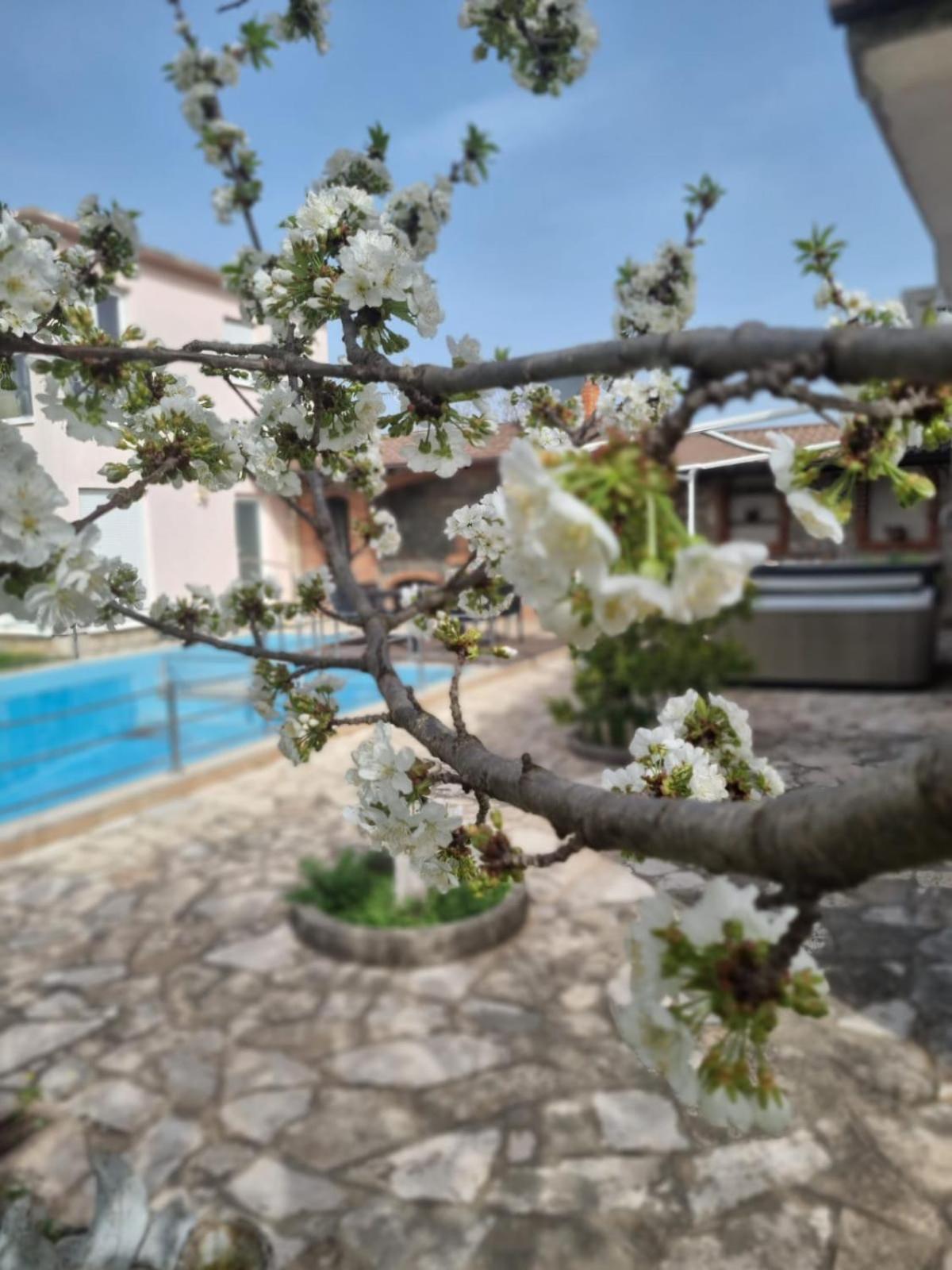 Hacienda Kolenda Διαμέρισμα Μόσταρ Εξωτερικό φωτογραφία